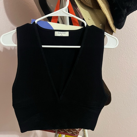 Aritzia Tops - Aritzia Babaton Black Ribbed V-Neck Crop Top